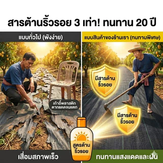 *แถมหมุดปัก* ผ้าคลุมวัชพืช1x50 2x50 3X100M ระบายอากาศได้ ทนความร้อนสูง วัสดุที่ย่อยสลายได้ กำจัดหญ้า พลาสติกคลุมดิน