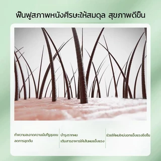 🔥 ส่งฟรี แชมพูกรดอะมิโนผสมเกลือทะเล 500ml | ขจัดรังแค คุมมัน ทำความสะอาดล้ำลึก ผมนุ่มฟู ชุ่มชื้น ✨