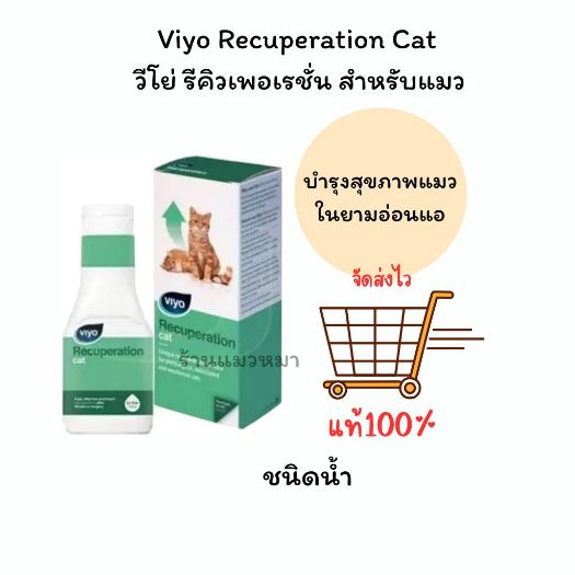 Recuperation Cat หมดอายุ 4/28 วีโย่ รีคิวเพอเรชั่น สำหรับแมว ผลิตภัณฑ์สูตรน้ำ บำรุงสุขภาพแมวในยามอ่อนแอ
