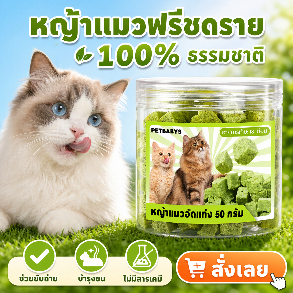 พร้อมส่ง! ขนมแมวฟรีซดราย หญ้าแมว อกไก่ผสมต้นอ่อนข้าวสาลี 50g โปรตีนสูง ช่วยสำรอกก้อนขน บำรุงขน หอม