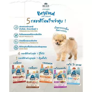 [1-1.2Kg.] BUZZ beyond อาหารเม็ดสุนัข กลูเตนฟรี ไม่เติมเกลือ