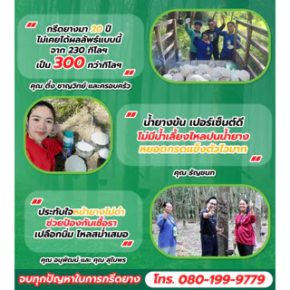 สหายพารา 1 ขวด (500 ml) ทาหน้ายาง เพิ่มน้ำยาง เปลือกนิ่ม กรีดง่าย (ทาได้ 500 ต้น)