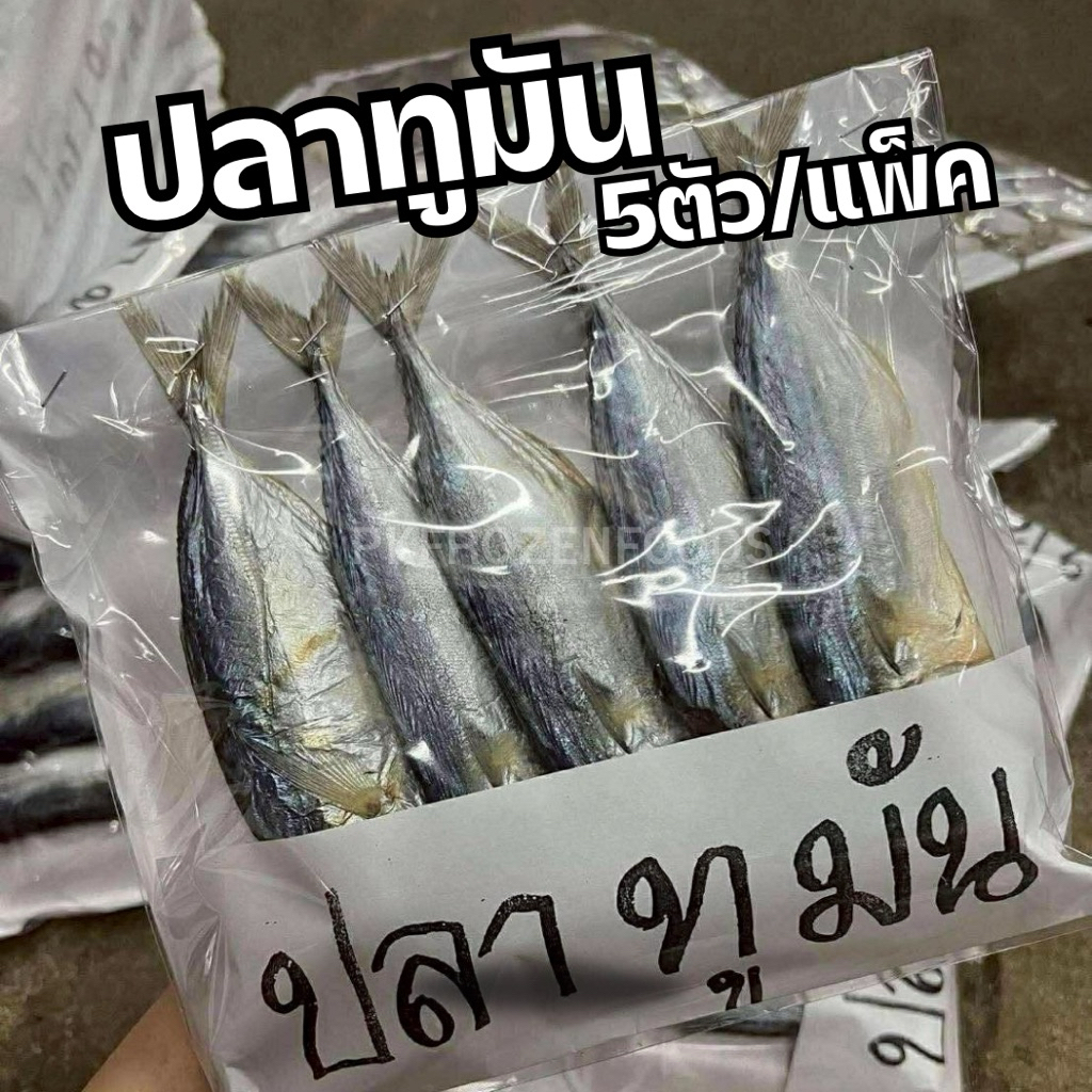 ปลาทูมัน 5 ตัว/แพ็ค🐟🐟 ⚡️ส่งด่วน 🔥ค่าส่งเหมา✅คละได้ทั้งร้าน❗️โฟมฟรี💦ทุกจังหวัด 🚚💨ส่งขนส่งแช่เย็น❄️