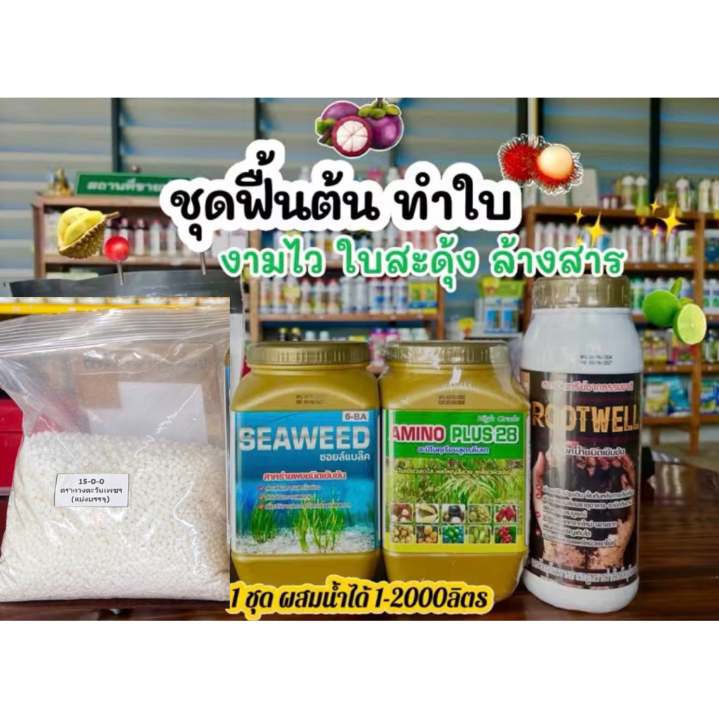 ชุดงามไว ใบสะดุ้ง ฟื้นต้นทำใบ ล้างสาร #ชุดล้างสาร ใช้สำหรับพืชใช้พ่นได้ทั้งใบและดิน