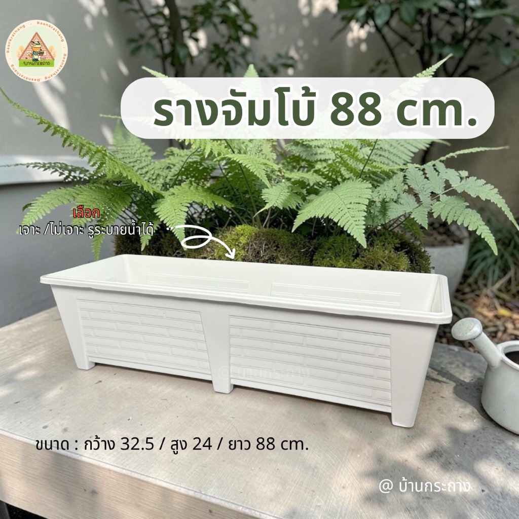 รางจัมโบ้ กระถางรางพลาสติกอย่างดีงานไทย88cmเลือกเจาะรูระบายน้ำได้ รางเลี้ยงปลา รางปลูกต้นไม้ รางปลูกผักกระถางรางหมู
