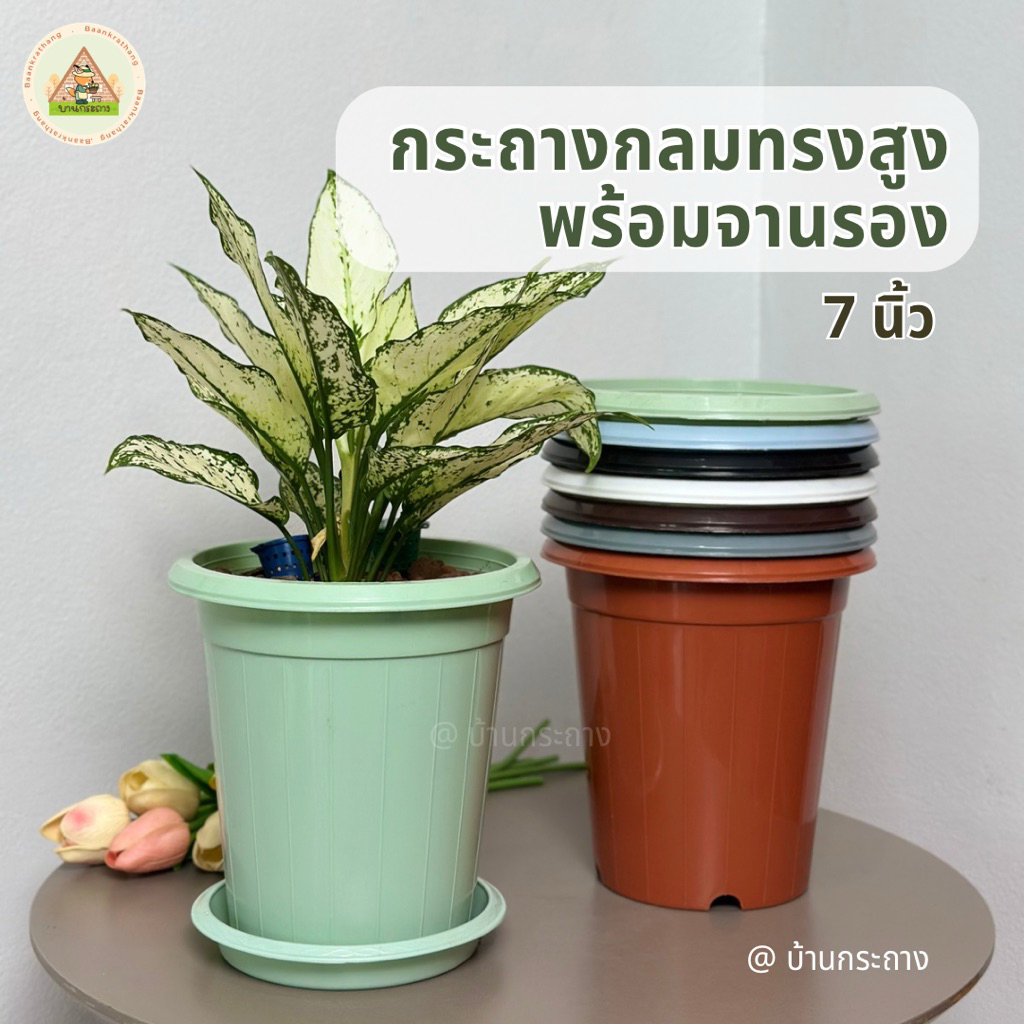 กระถางกลมทรงสูง 7นิ้ว พร้อมจานรอง กระถางพลาสติก
