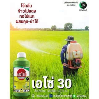เอโซ่30 (สูตรทนฝน) 1ลิตร (เอ็มซีพีเอ) กำจัดวัชพืช ใบกว้างและกก เก่งกกหนวดปลาดุก