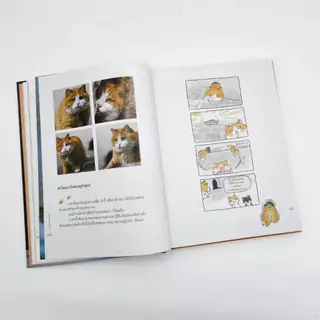 หนังสือปกแข็ง พิมพ์สี “แมวหลวงแห่งกู้กง“ (เล่มเดียวจบ) - Hongsamut