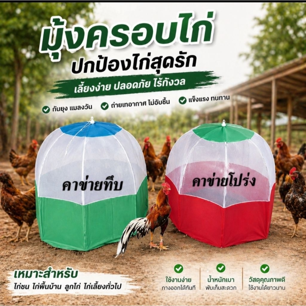 มุ้งครอบไก่ มุ้งสุ่มไก่ มุ้งเตะไก่