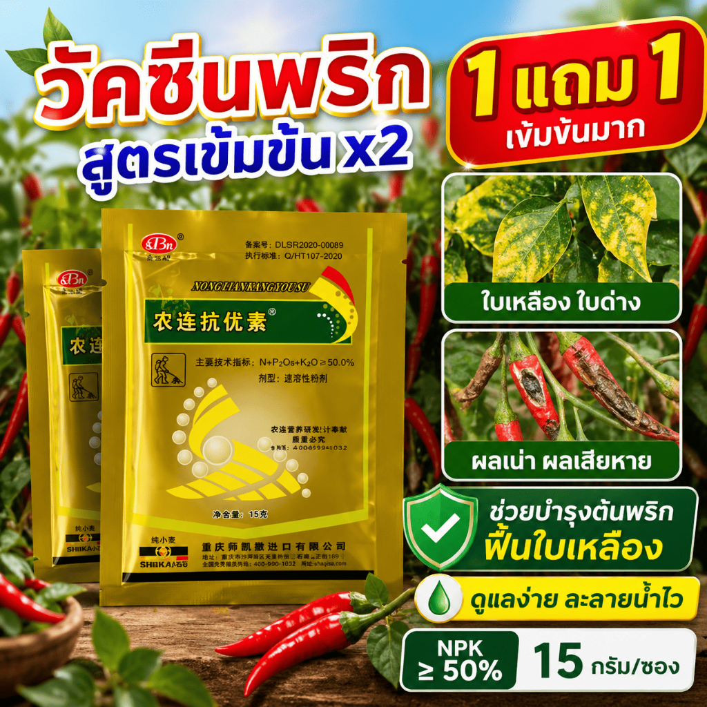 COD วัคซีนพืช วัคซีนพริก สูตรเข้มข้น ซื้อ 1 แถม 1 ช่วยบำรุงต้นพริก ลดปัญหาใบเหลือง ใบหยิก ผลเน่า โคนเน่า โรคกุ้งแห้ง เชื