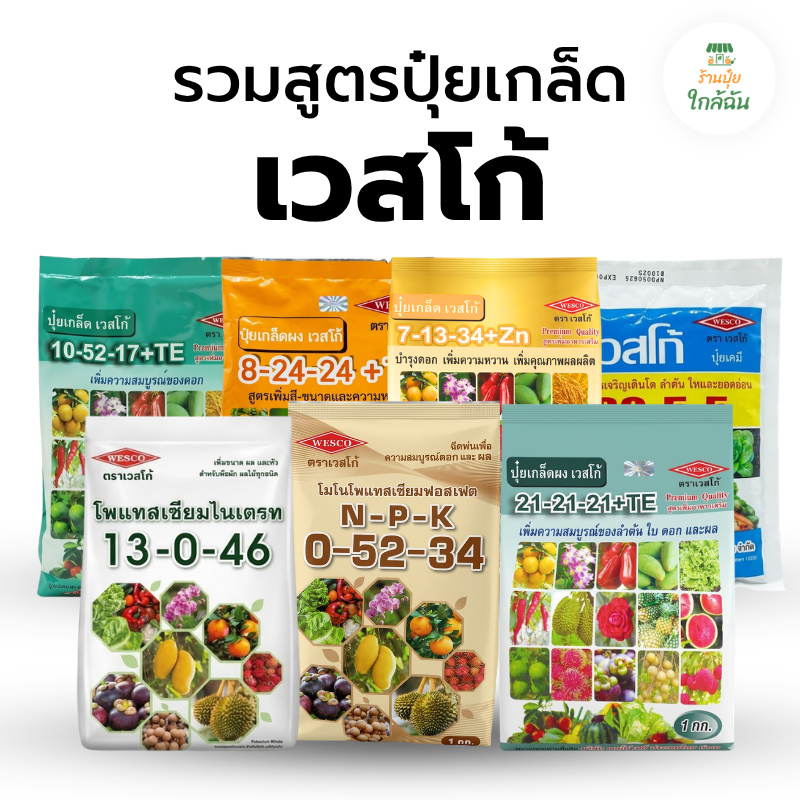 ปุ๋ยเกล็ด เวสโก้ ปุ๋ย 8 24 24 ปุ๋ย 0 52 34 ปุ๋ย 7 13 34 ปุ๋ย 21 21 21 เร่งใบ เร่งดอก ทำหวาน ปุ๋ยเคมี