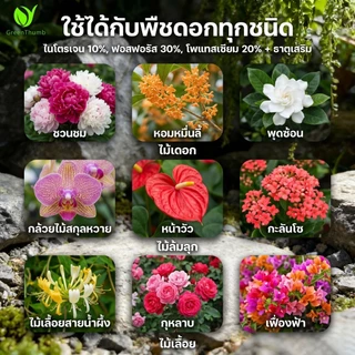 【GreenThumb】ปุ๋ยเร่งดอกเบอร์ 2 250 กรัม เร่งดอก เพิ่มสี ยืดเวลาดอกบาน ปุ๋ยดอกไม้ ใช้ได้กับไม้ดอกทุกชนิด
