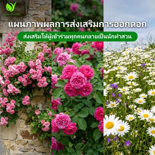 【GreenThumb】ปุ๋ยเร่งดอกเบอร์ 2 250 กรัม เร่งดอก เพิ่มสี ยืดเวลาดอกบาน ปุ๋ยดอกไม้ ใช้ได้กับไม้ดอกทุกชนิด