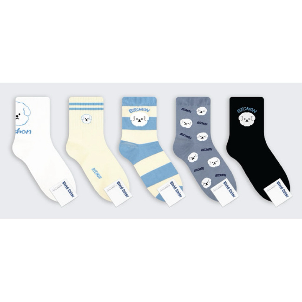 Bichon with you socks (made in korea)