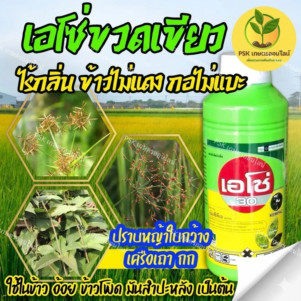 เอโซ่30 (สูตรทนฝน) 1ลิตร (เอ็มซีพีเอ) กำจัดวัชพืช ใบกว้างและกก เก่งกกหนวดปลาดุก