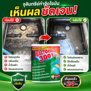 BACTOCEL 3001 แบคโตเซล 1000g ผงจุลินทรีย์ย่อยไขมัน บ่อดักไขมัน แก้ท่อตัน ลดกลิ่นเหม็น น้ำเสีย จุลินทรีย์ 100%