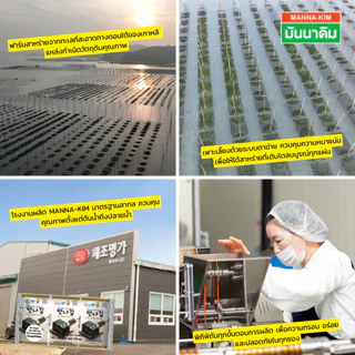 มันนา สาหร่ายทะเลอบกรอบปรุงรสเกาหลี รสชีส (Cheese) 4g x 72 ซอง คุณภาพดีจากธรรมชาติ ปลอดภัย ได้มาตรฐาน ไม่มีวัตถุกันเสีย