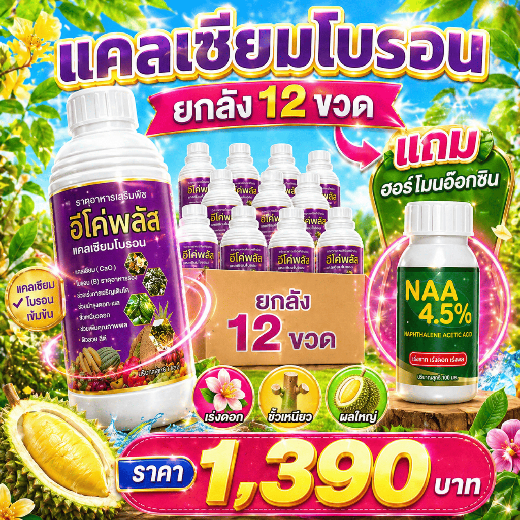 ชุดปุ๋ยน้ำ แคลเซียมโบรอน แคลเซียมพืช แถม NAA ฮอร์โมนอ๊อกซิน ฮอร์โมนพืช ยกลัง12ลิต เร่งดอก ขั้วเหนียว