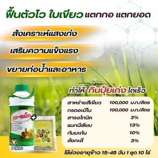 ชุดบำรุงพืช แตกกอข้าวเขียว เอ-แม็ก (1 ลิตร) คู่กับ ไอโอนิค (100 กรัม) เสริมการเจริญเติบโต ฟื้นฟูต้นพืช สำหรับนาข้าวและพื