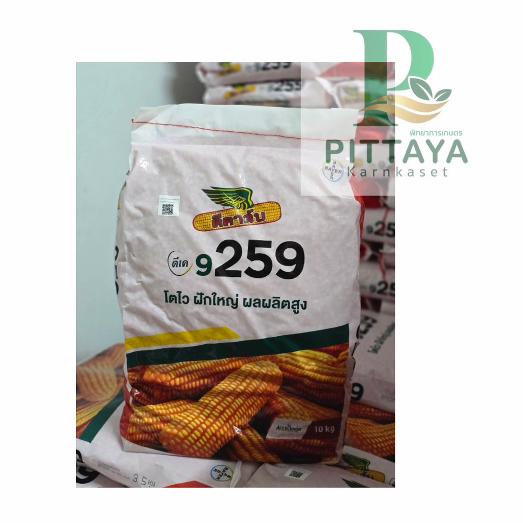 ข้าวโพดดีคาล์บ 9259 ขนาด 10 กิโลกรัม - โตไว ฝักใหญ่ น้ำหนักดี ผลผลิตสูง