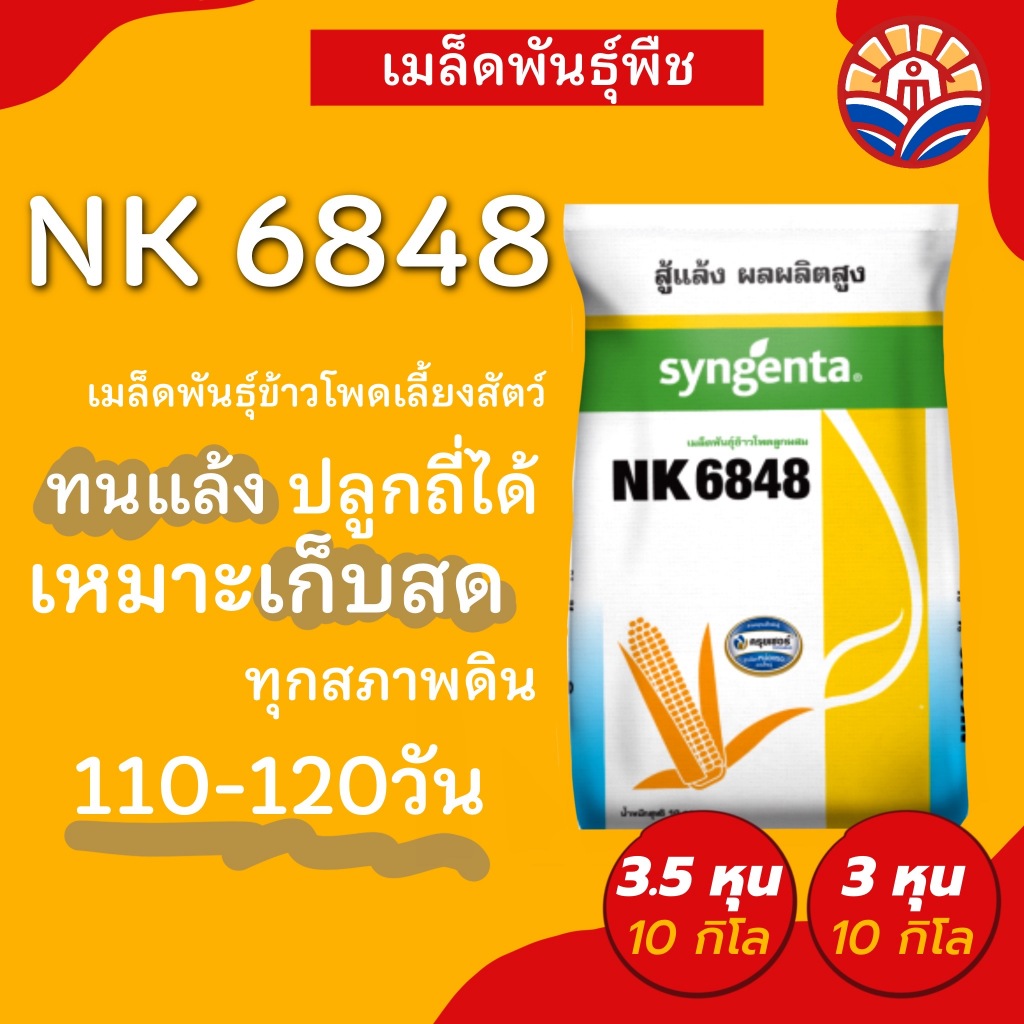 ส่งไว! ข้าวโพดเลี้ยงสัตว์ NK6848 10กิโล ทนแล้ง ทนโรค ใบไหม้แผลใหญ่ ฝักใหญ่ น้ำหนักดี ปลูกถี่ได้