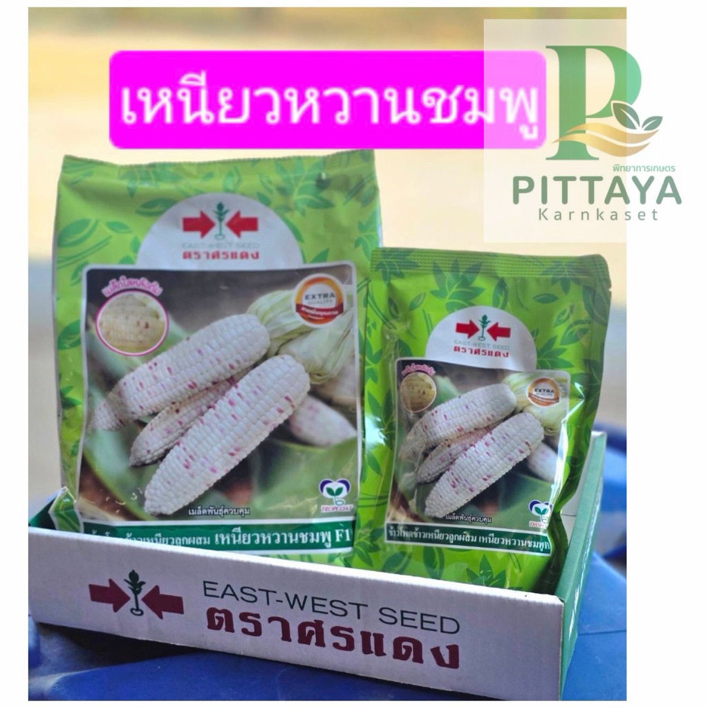 (หมดอายุ 7/2/2571 ) ข้าวโพดข้าวเหนียว 2 สี เหนียวหวานชมพู เมล็ดใสหลังต้ม ตรา ศรแดง