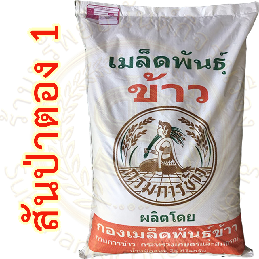 เมล็ดพันธุ์ข้าวเหนียว สันป่าตอง1 กรมการข้าว