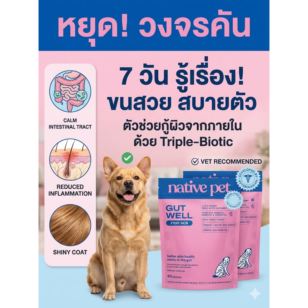 [พร้อมส่ง] Native Pet Gut Health 🇺🇸 อาหารเสริมสุนัขแก้คัน บำรุงผิวหนังและลำไส้ Probiotics + Prebiotics 60 Scoops