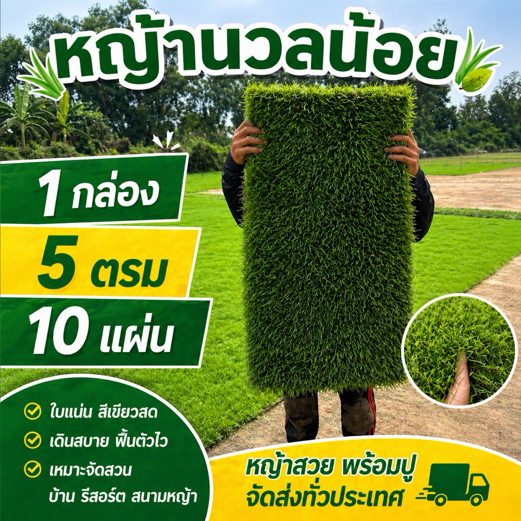 หญ้านวลน้อย 5ตารางเมตร 10แผ่น สำหรับตกแต่งสวน