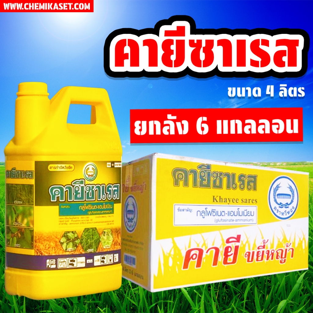 คายีซาเรส (กลูโฟซิเนต ตรา หวีทอง) ขนาด 4 ลิตร ยกลัง 6 แกลลอน ของแท้ ส่งเร็ว เก็บปลายทางได้