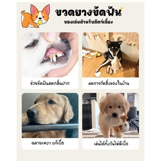 ของเล่นหขัดฟัน ขวดน้ำบีบแล้วมีเสียง พร้อมลูกเทนนิส เสริมพัฒนาการและช่วยทำความสะอาดฟัน ของเล่นหมา ของเล่นแมว