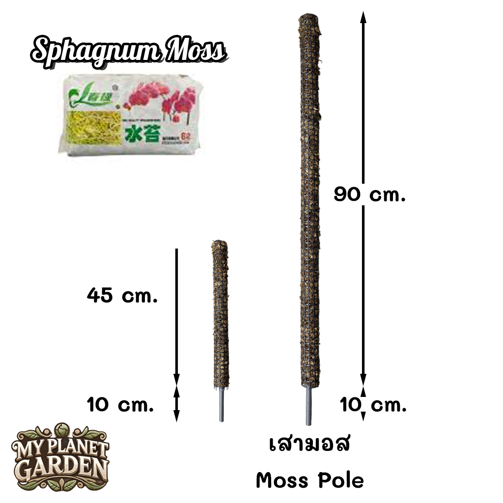 Moss Pole, Coco coir Pole, เสาไม้เลื้อย, เสามอส, เสาใยมะพร้าว, หลักไม้เลื้อย