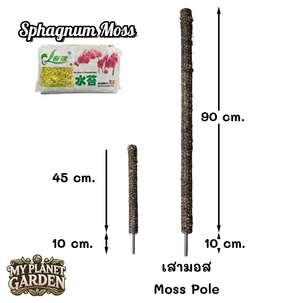 Moss Pole, Coco coir Pole, เสาไม้เลื้อย, เสามอส, เสาใยมะพร้าว, หลักไม้เลื้อย