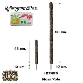 Moss Pole, Coco coir Pole, เสาไม้เลื้อย, เสามอส, เสาใยมะพร้าว, หลักไม้เลื้อย
