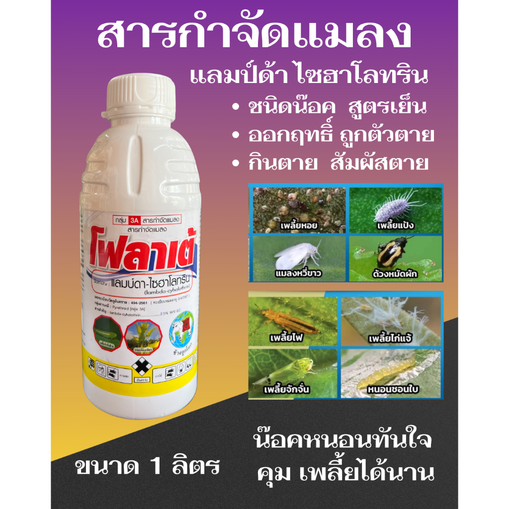 โฟลาเต้ 1 ลิตร สา่รกำจัดแมลงแลมป์ด้าไซฮาโลทริน ชนิดยาเย็นกำจัดหนอนเพลี้ยไฟและไรพ่นระยะดอกบานได้ ออกฤทธิ์ถูกตัวตาย กินตาย