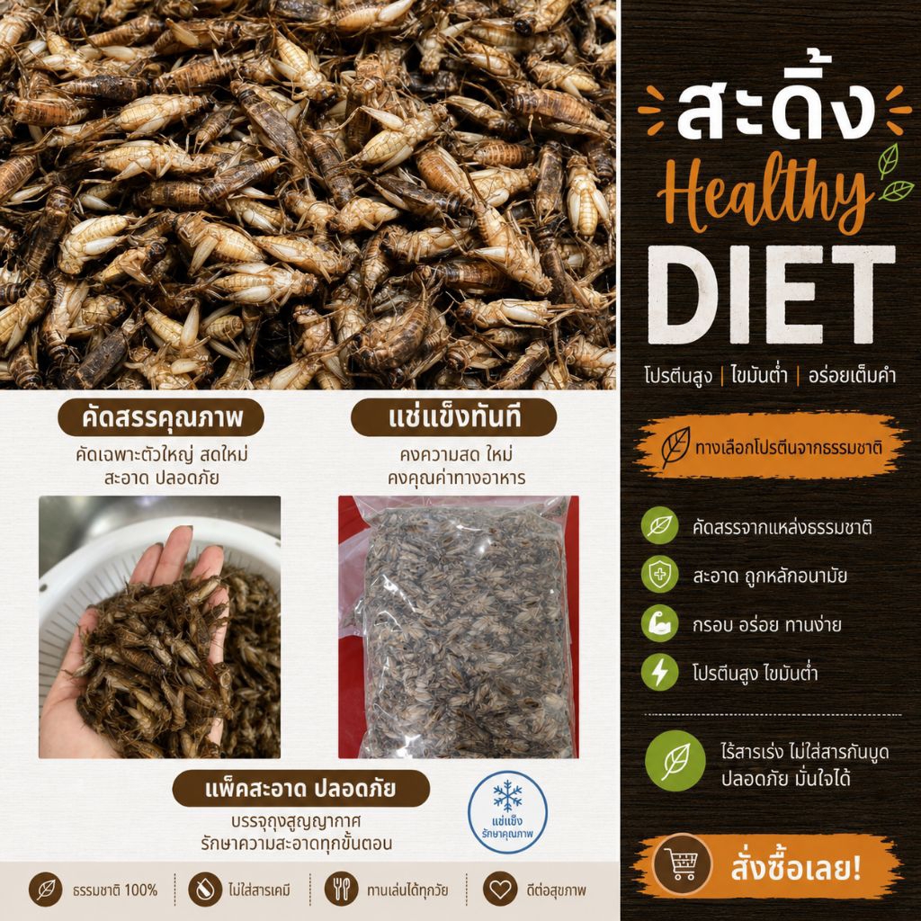[ค่าส่งถูก] สะดิ้ง แช่งแข็ง ไม่ใส่เกลือ ไม่ปรุงรส สดใหม่ ไข่แน่น สะดิ้งไข่ รับประทานได้ เป็นอาหารสัตว์ได้
