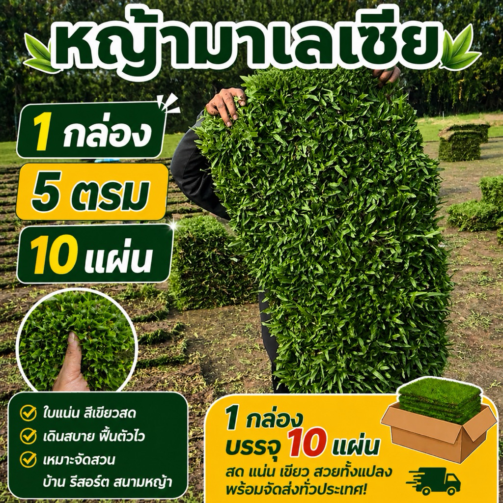 หญ้ามาเลเชีย 5ตารางเมตร 10แผ่น ใช้สำหรับตกแต่งสวน