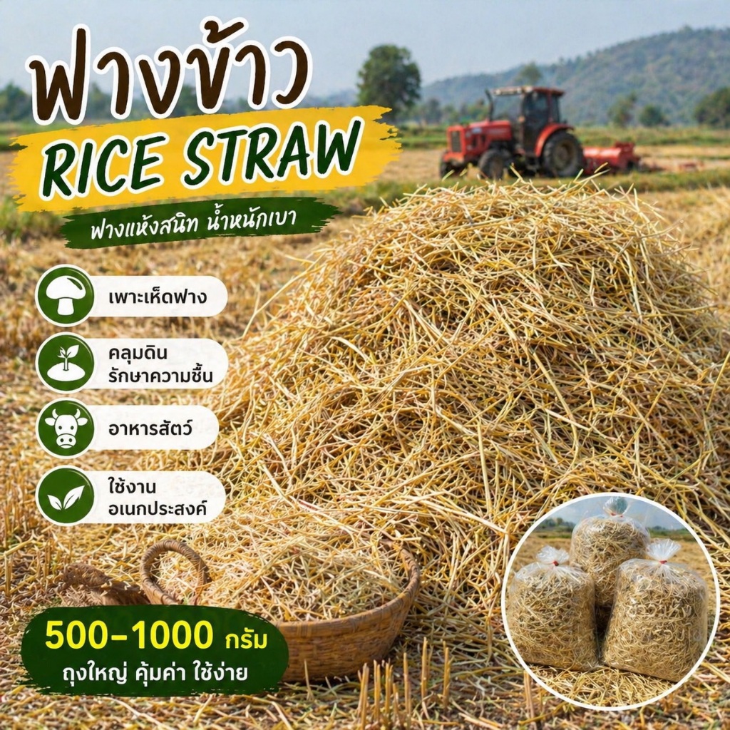 ฟางข้าวแห้ง 500-1000 กรัม ถุงใหญ่ ใช้เพาะเห็ด คลุมดิน เพิ่มอินทรียวัตถุ น้ำหนักเบา