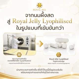 นมผึ้ง รอยัลบี ROYAL BEE MAXI ROYAL JELLY CAPSULE ขนาด 30 เม็ด