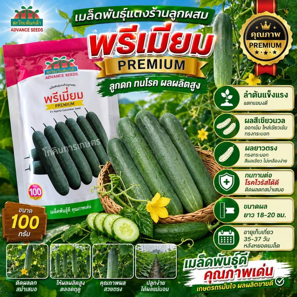 100กรัม แบบซอง แตงร้านพรีเมี่ยม เมล็ดพันธุ์ แตงร้าน ตะวันต้นกล้า แตงร้านพรีเมี่ยม