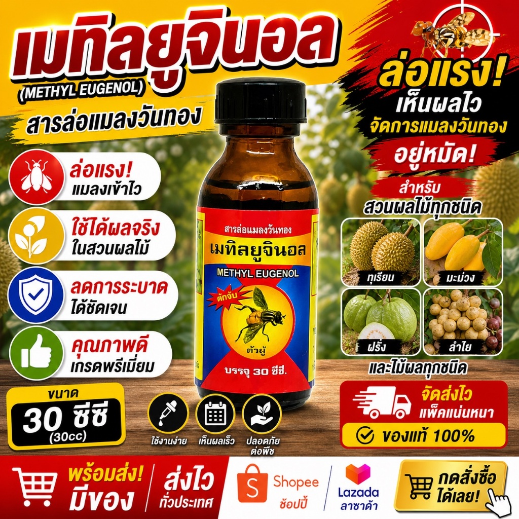 สารล่อแมลง เมทิลยูจินอล (METHYL EUGENOL)ดักจับแมลงวันทอง ขนาด 30ซีซี