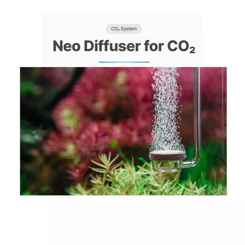 Neo Diffuser Normal Special ให้ฟอง Co2 ละเอียด