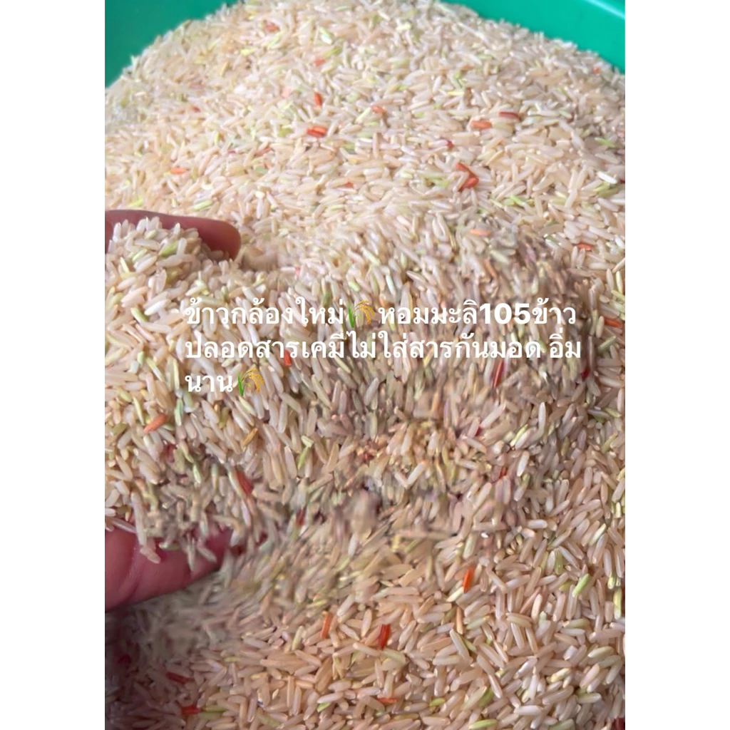 ข้าวกล้องข้าวหอมมะลิ105 1 kg ข้าวใหม่สีสดทุกวัน น้ำตาลน้อย เหมาะกับคนเป็นโรคเบาหวาน คนควบคุมน้ำตาลคุมน้ำหนัก