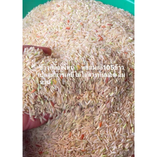 ข้าวกล้องข้าวหอมมะลิ105 1 kg ข้าวใหม่สีสดทุกวัน น้ำตาลน้อย เหมาะกับคนเป็นโรคเบาหวาน คนควบคุมน้ำตาลคุมน้ำหนัก