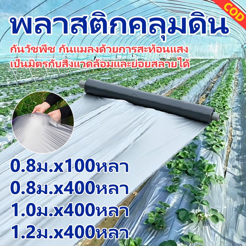 COD พลาสติกคลุมดิน 0.8ม.x400หลา(360ม) พลาสติกคลุมแปลง ผสมUV กว้าง พลาสติกดำเงิน พลาสติกกันวัชพืช กันวัชพืช ปลูกผัก ปลูกผ