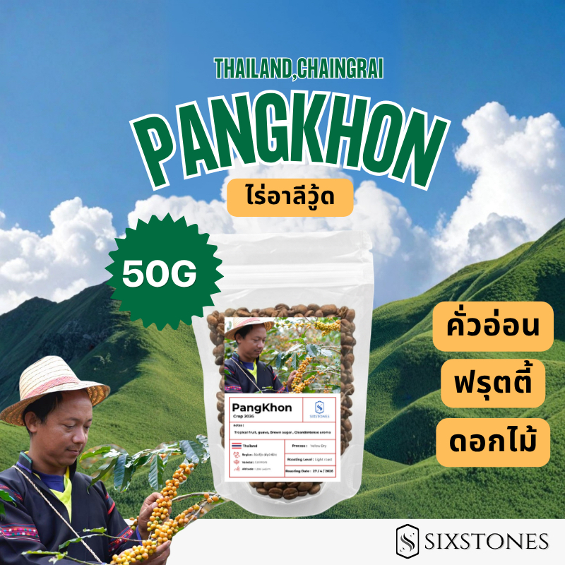 (early bird) เมล็ดกาแฟปางขอน 5 ตัว ลงไร่เอง คุยกับเกษตรกรเอง คุณภาพดีมากๆ sixstoneroaster