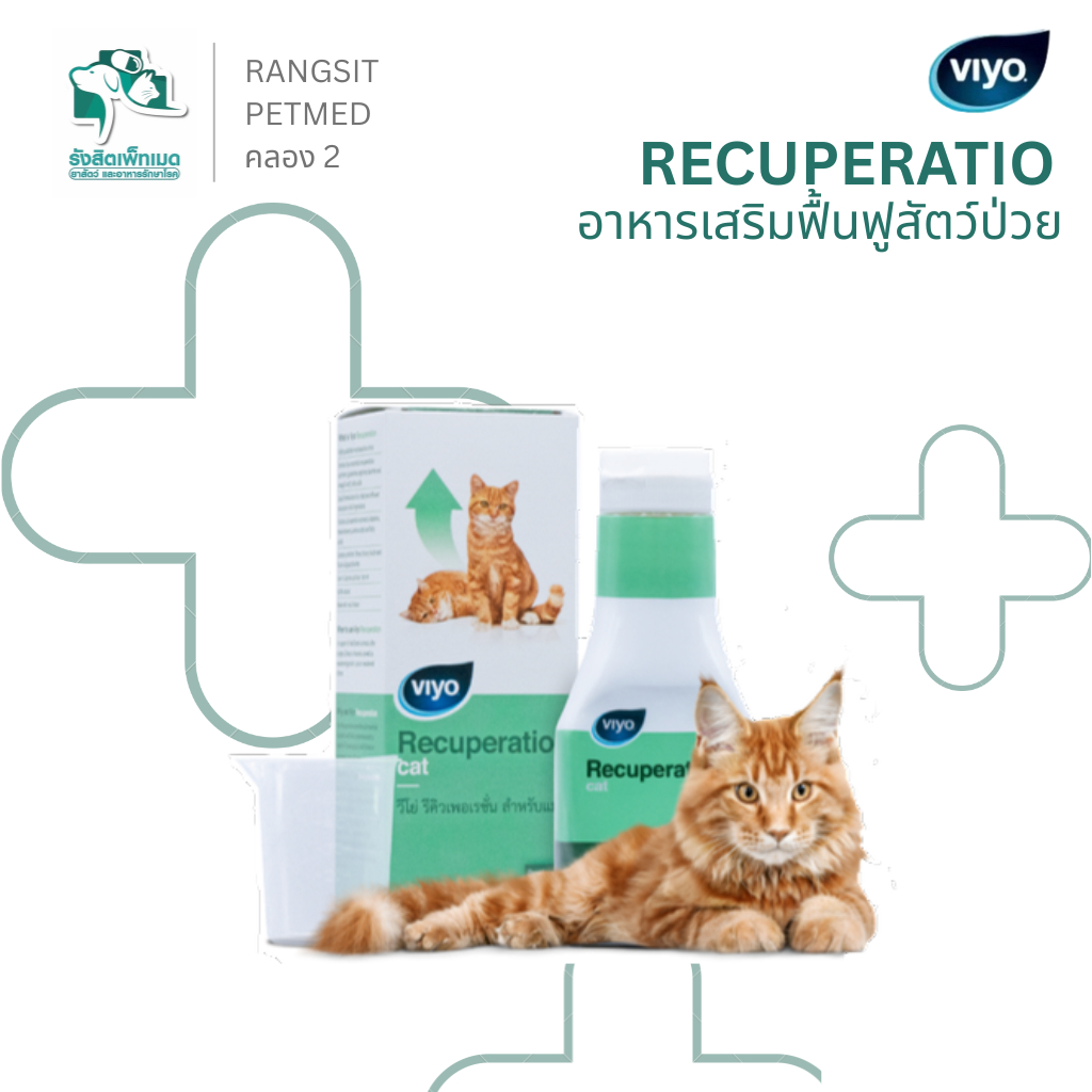 Viyo Recuperation Cat อาหารเสริมแมวป่วย พักฟื้น ฟื้นตัวไว เสริมภูมิ บำรุงลำไส้ 150ml