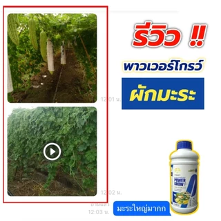 พาวเวอร์โกรว์#2แถม1ขวด