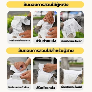ผ้าอ้อม สุนัขข นาดเล็ก เพศเมีย น้องหมา สัตว์เลี้ยง แมว ราคาถูก S/M/L/XL