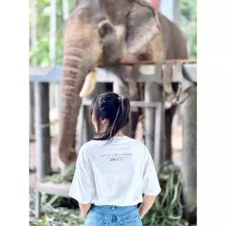 เสื้อ Oversize สกรีนลาย "ลายพี่เดียว ช้างขาหัก"